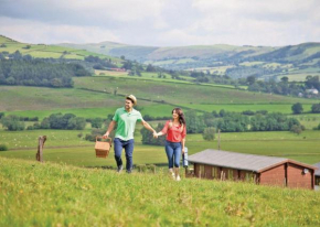 Trewythen Lodges